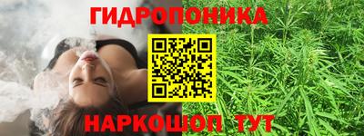 гидропоника Кулебаки