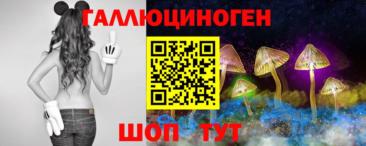 Галлюциногенные грибы мицелий  купить наркотики сайты  Хабаровск  Вход с VPN 